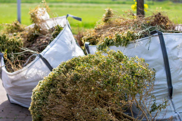 Same-Day Junk Removal Services in Dayton, NV